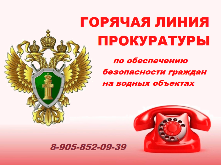 Горячая линия прокуратуры.